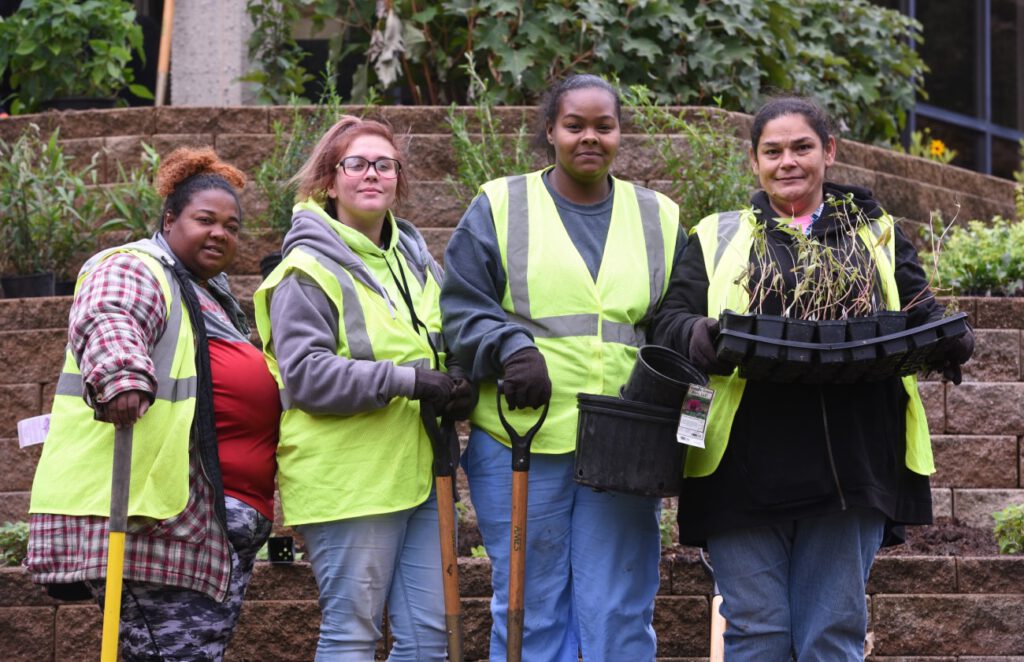 four workers gardening